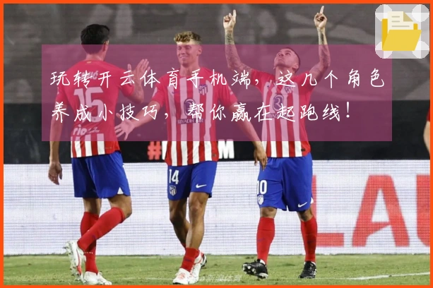 玩转开云体育手机端，这几个角色养成小技巧，帮你赢在起跑线！