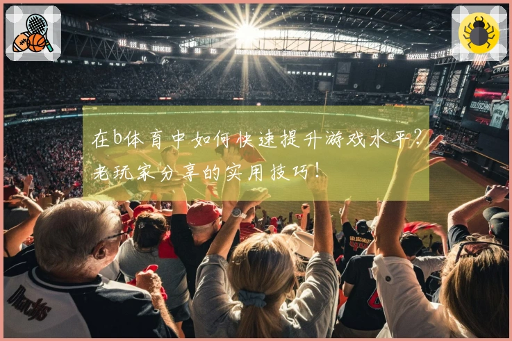 在b体育中如何快速提升游戏水平？老玩家分享的实用技巧！