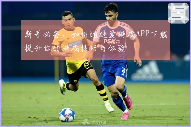 新手必备，如何通过爱游戏APP下载提升你的游戏技巧与体验