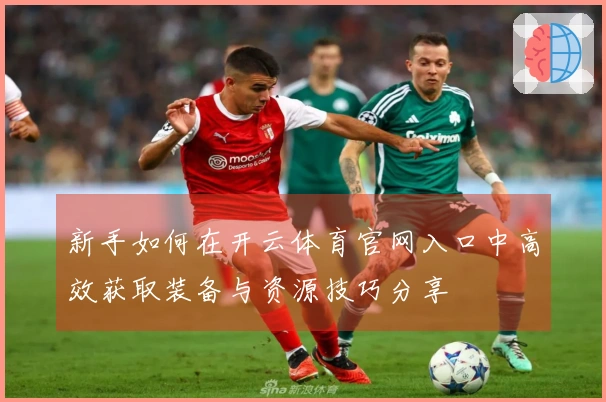 新手如何在开云体育官网入口中高效获取装备与资源技巧分享